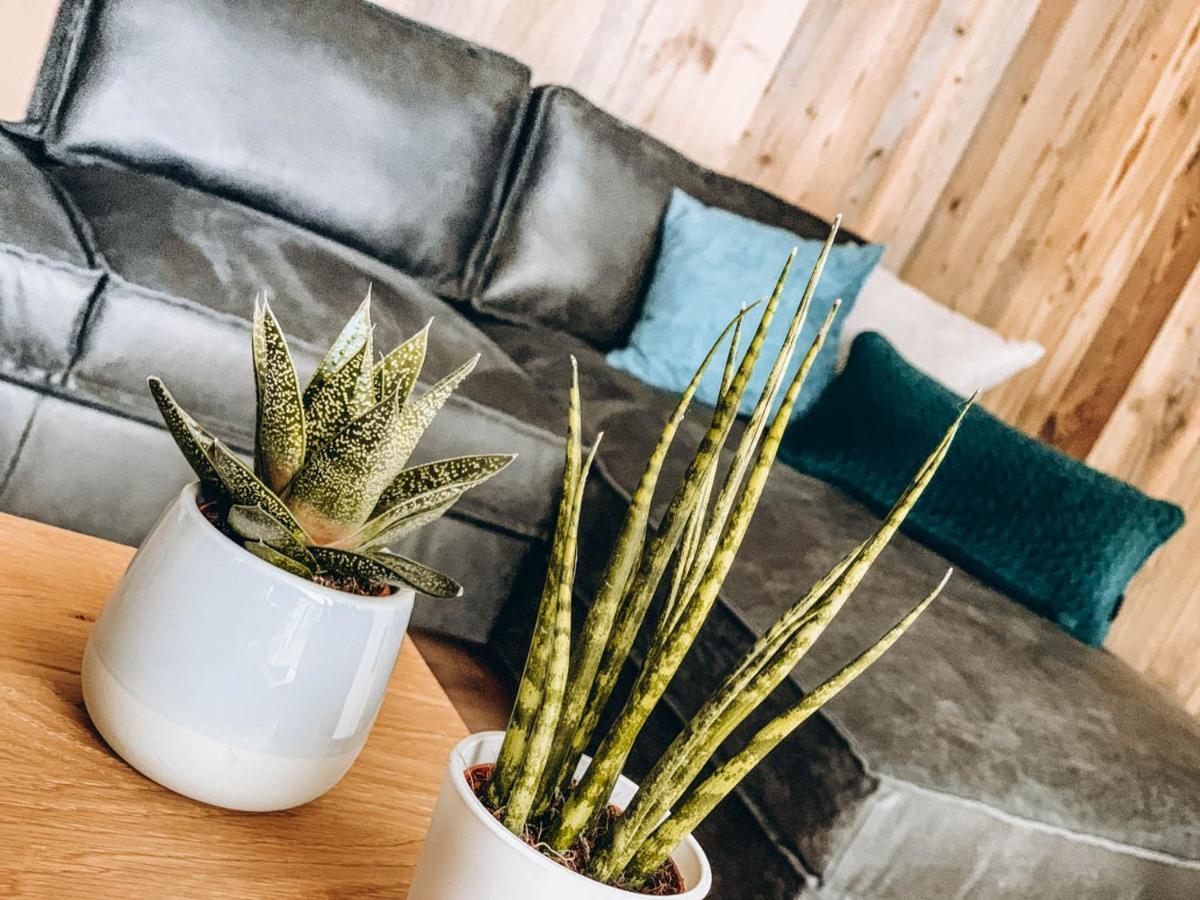Four Peaks Apartment フラッハウ エクステリア 写真